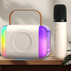 PORTABLE KARAOKE SPEAKER